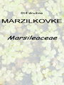 014_00_00b_marzilkovke_Marsileaceae_DSC09765.jpg