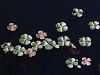 014_01_01bk_marzilka_stiriperesna_Marsilea_quadrifolia_IMG_9411aa.jpg