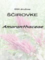 034_00_00b_scirovke_Amaranthaceae_DSC02062.jpg