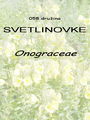 058_00_00b_svetlinovke_Onagraceae_DSC09954.jpg