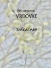 096_00_00a_Vrbovke_Salicaceae_DSC08689x.JPG