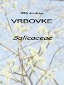 096_00_00b_Vrbovke_Salicaceae_DSC08862.jpg