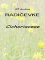 137_00_00a_radicevke_Cichoriaceae.jpg