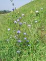 137_02_01ab_potrosnik_2010_08210011.jpg
