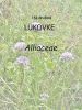 156_00_00a_lukovke_Alliaceae.jpg