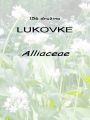 156_00_00b_lukovke_Alliaceae_2011_04170026.jpg