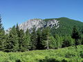 Filename=b_gore_Peca_c_DSC03015.jpg
Filesize=310KB
Dimensions=900x675
Date added=Nov 27, 2009 b_gore_Peca_c_DSC03015.jpg