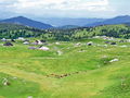 b_gore_Velika_planina_b_2009_06130103a.jpg