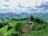 b_pokrajina_Haloze_Sedlasek_b_2014_04220021.jpg