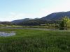 c_voda_jezero_Cerknisko_jezero_c_2015_05_08_IMG_0592a.jpg