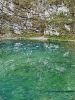 c_voda_jezero_Divje_jezero_a_DSC08986.jpg