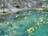 c_voda_jezero_Divje_jezero_b_DSC08987.jpg