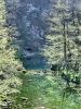 c_voda_jezero_Divje_jezero_c_DSC09001.jpg