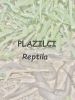 plaz_00.jpg