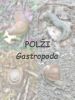 polz_00.jpg