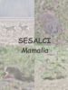 sesa_00.jpg