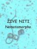 ziva_nit_00.jpg