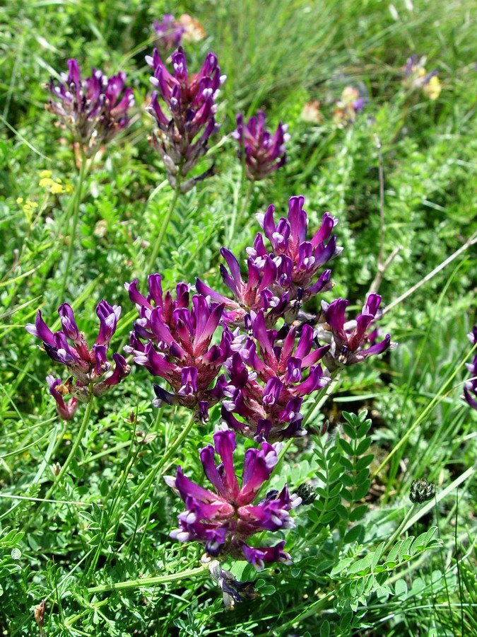 Click to view full size image