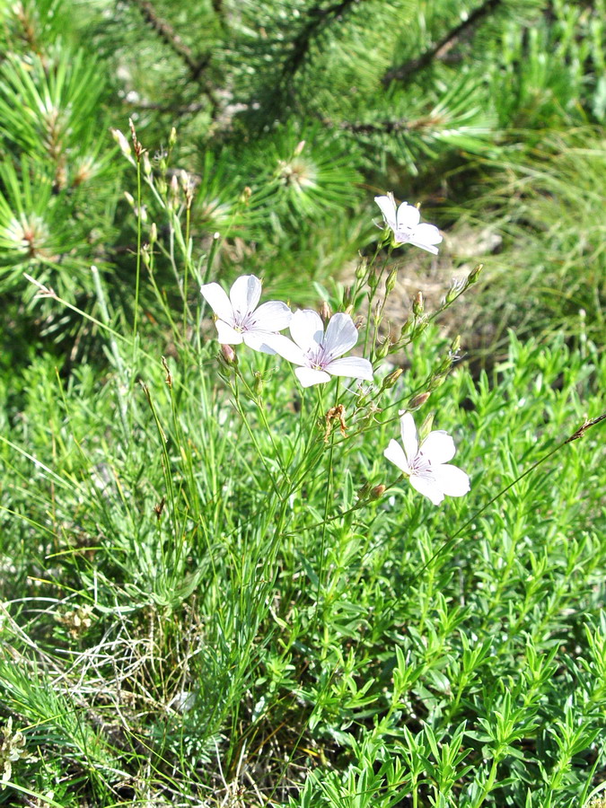 Click to view full size image