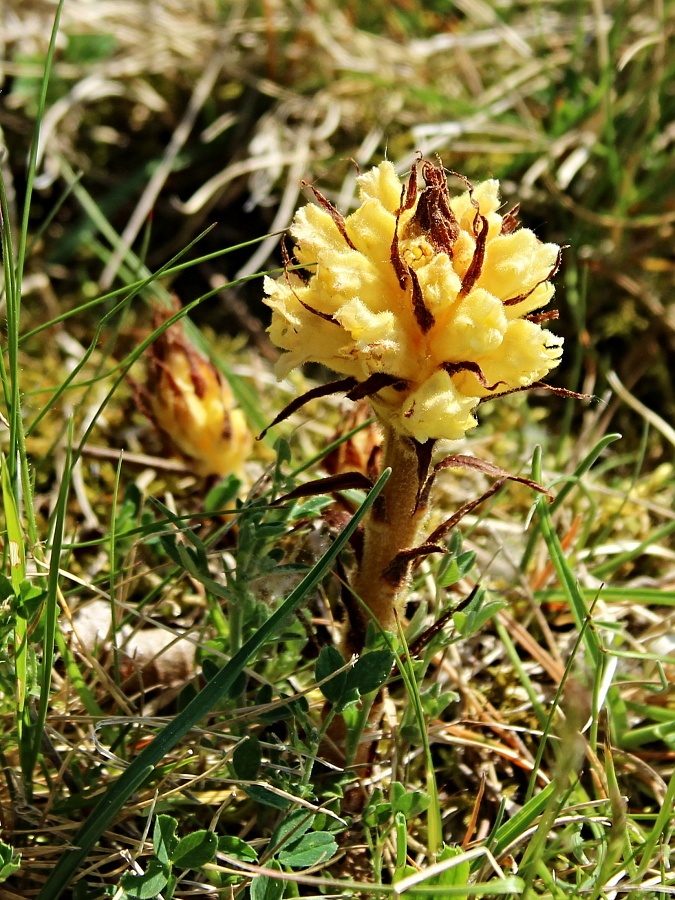 Click to view full size image