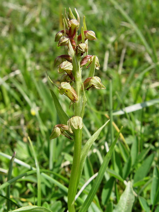 Click to view full size image