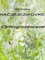 004_00_00b_kacjejezikovke_Ophioglossaceae__DSC02637.jpg