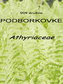 009_00_00b_podborkovke_Athyriaceae_DSC09188.jpg