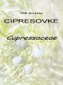 018_00_00b_cipresovke_Cupressaceae.jpg