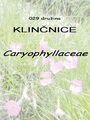 029_00_00b_klincnice_Caryophyllaceae_DSC09902.jpg