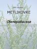 033_00_00a_metlikovke_Chenopodiaceae_SCF2985a.jpg