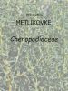 033_00_00c_metlikovke_Chenopodiaceae.jpg