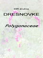 035_00_00b_dresnovke_Polygonaceae.jpg