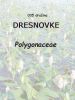 035_00_00c_dresnovke_Polygonaceae_DSC04093.JPG