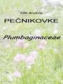 036_00_00b_pecnikovke_Plumbaginaceae_DSC03139.jpg
