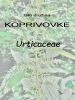 046_00_00a_koprivovke_Urticaceae_2011_06120001a.jpg