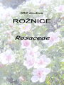 052_00_00b_roznice_Rosaceae_DSC01502.jpg
