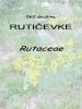 062_00_00c_Ruticevke_Rutaceae.jpg