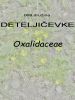 068_00_00a_deteljicevke_Oxalidaceae_DSC09572a.jpg