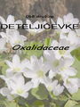068_00_00b_deteljicevke_Oxalidaceae.jpg
