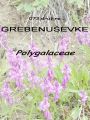 073_00_00b_Grebenusevke_Polygalaceae_DSC00328.jpg