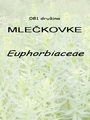081_00_00a_mleckovke_Euohorbiaceae.jpg