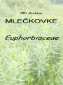 081_00_00c_mleckovke_Euphorbiaceae_DSC09970.jpg
