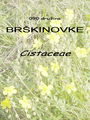 090_00_00a_brskinovke_Cistaceae.jpg