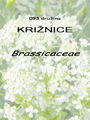 093_00_00a_kriznice_Brassicaceae.jpg