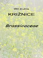 093_00_00b_kriznice_Brassicaceae~0.jpg
