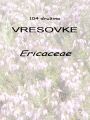 104_00_00c_vresovke_Ericaceae.jpg