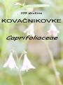 109_00_00c_kovacnikovke_Caprifoliaceae.jpg