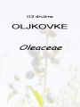 113_00_00b_oljkovke_Oleaceae_DSC02110.JPG