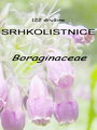 122_00_00a_srhkolistovke_Boraginaceae.jpg