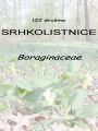 122_00_00b_srhkolistovke_Boraginaceae.jpg
